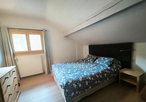 Chalet meublé 116m2 et local 110m2