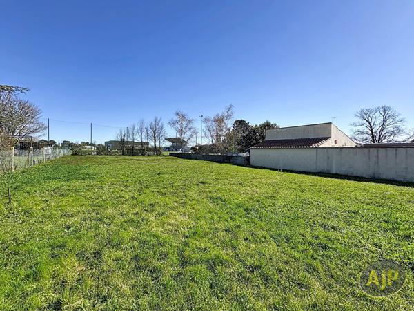 Vente terrain Soullans : 97 800 € - AJP Immobilier Challans