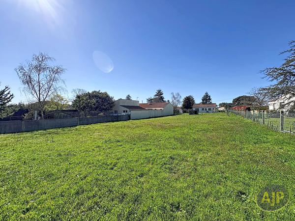 Vente terrain Soullans : 97 800 € - AJP Immobilier Challans