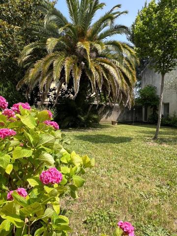 MAS DE VILLE DU 18 ème SIECLE