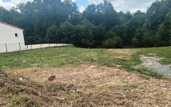 Terrain à vendre    Villeneuve-les-Cerfs