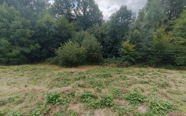 Terrain à vendre    Villeneuve-les-Cerfs