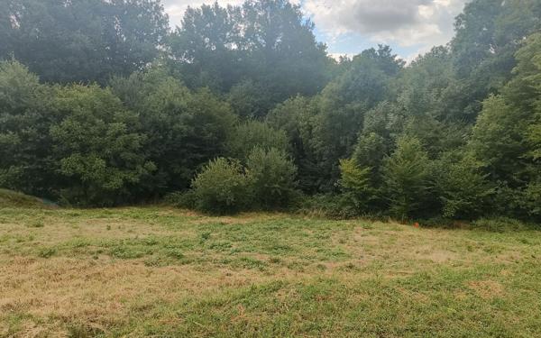 Terrain à vendre    Villeneuve-les-Cerfs