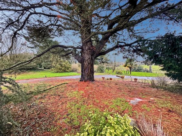 Propriété d’exception de 310 m2 aux portes d’Angers – Beaucouzé sur une parcelle de 7000 m2