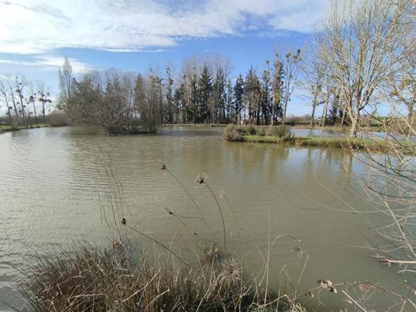 longére 4 chambres, avec étang
