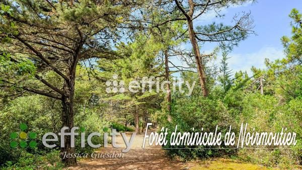 Terrain
        
        - 305 m² 102 000 € *