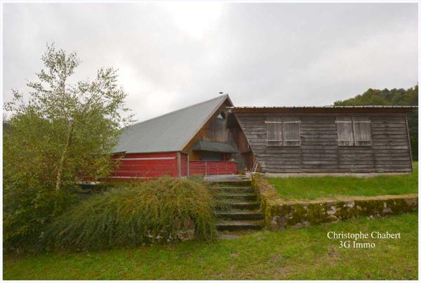 Vente / Local activité