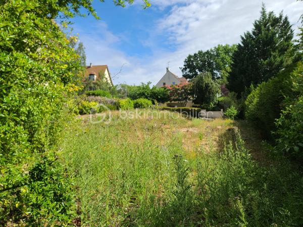 Terrain constructible de 1015m2 pour:
Une maison bi-familiale en R+1 avec garage, ou
Un pavillon individuel en R+1 avec garage, sans sous-sol.
Le bénéficie d'un permis d'aménager validé ainsi que d'une étude de sol G1.
Situés dans un environnement recherché, pavillionnaire, ce terrain constitue une excellente opportunité pour concrétiser un projet de construction sur mesure.
Caractéristiques :
Surface totale : 1 015m²
Façade : 19,15 m
Longueur : 53 m
La commune de Breuillet est desservie par deux gares du RER C : Breuillet Village et Breuillet – Bruyères-le-Châtel, offrant un accès pratique vers Paris et les communes environnantes.
***** VISITE POSSIBLE 7j/7 sur rdv jusqu'à 21h30 *****
Je réponds aux mails, sms ou message tard le soir