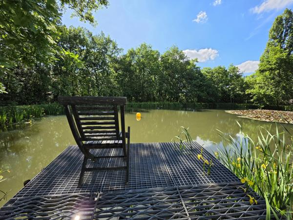 Propriété en pierre rénovée avec piscine, dépendances, bois et étang – Entre Agen et Nérac