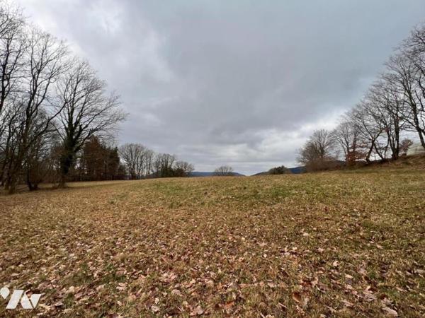 Terrain 2ha 26a MOYENMOUTIER
