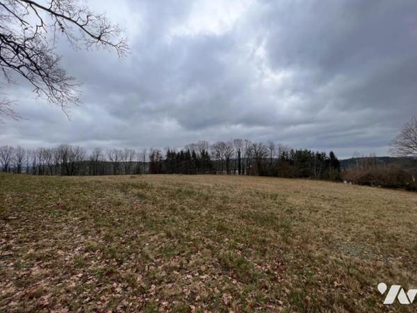 Terrain 2ha 26a MOYENMOUTIER