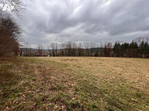 Terrain 2ha 26a MOYENMOUTIER