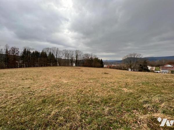 Terrain 2ha 26a MOYENMOUTIER