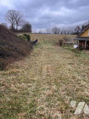 Terrain 2ha 26a MOYENMOUTIER