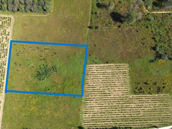 Vente / Terrain agricole