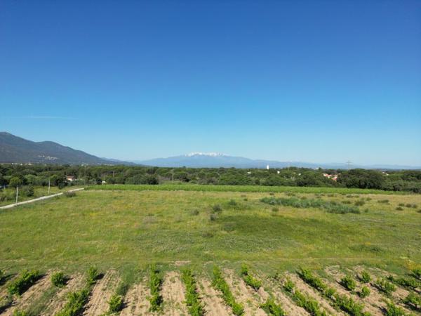 Vente / Terrain agricole