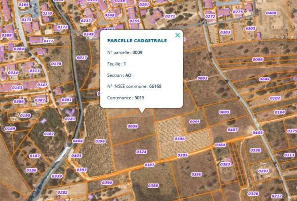 Vente / Terrain agricole