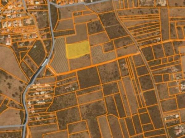 Vente / Terrain agricole