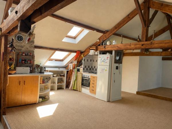 Grand appartement familial de 206 m2 au sol - Avenue Garibaldi, Limoges