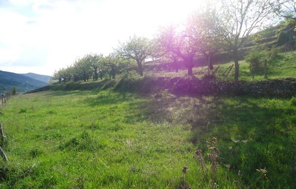 Terrain viabilisé de 1300 m2 sur Satillieu