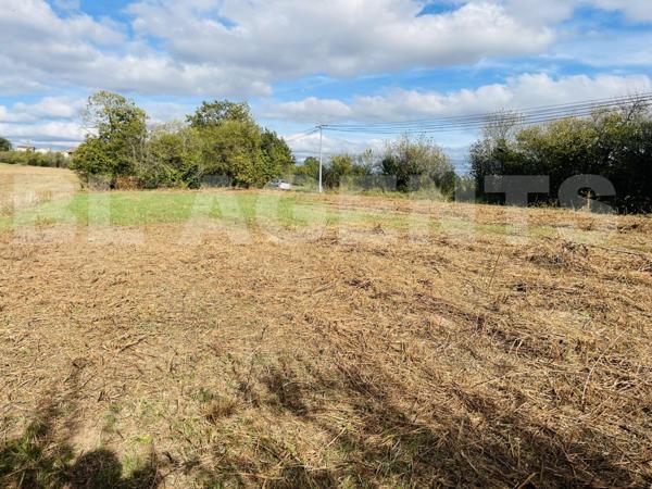 Terrain constructible PLAT de 1600 m2 sur les Albres !
