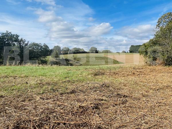 Terrain constructible PLAT de 1600 m2 sur les Albres !