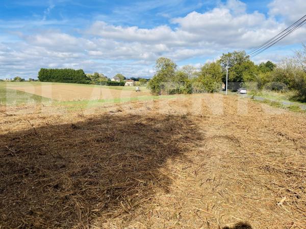 Terrain constructible PLAT de 1600 m2 sur les Albres !