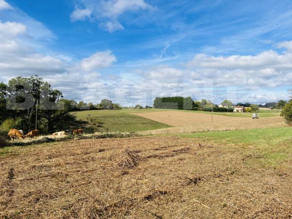 Terrain constructible PLAT de 1600 m2 sur les Albres !