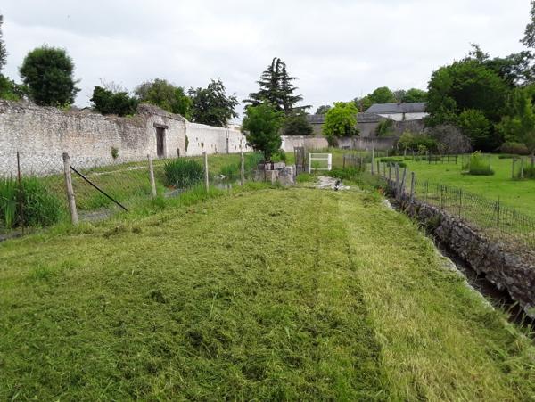 Location Maison 2 pièces Suèvres (41500) - Bourg SUEVRES