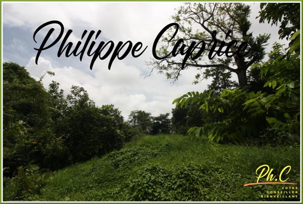 Terrain à vendre LE MARIN (972)