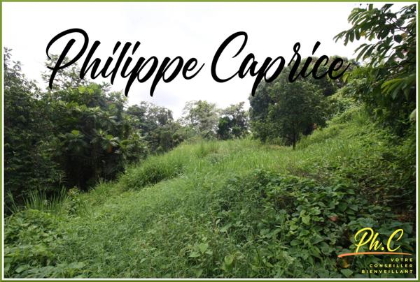 Terrain à vendre LE MARIN (972)