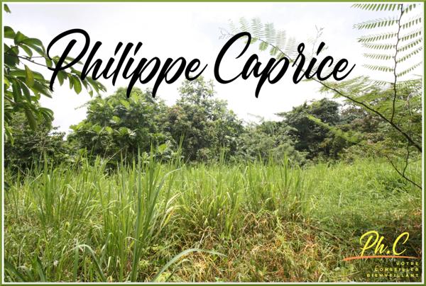 Terrain à vendre LE MARIN (972)