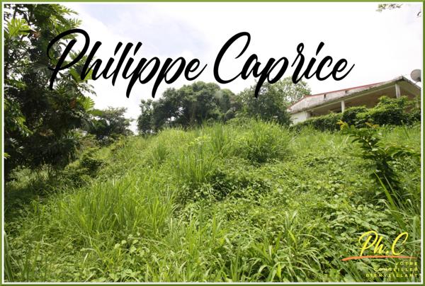 Terrain à vendre LE MARIN (972)