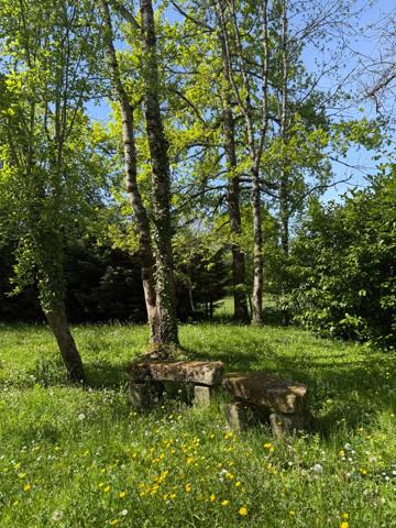 Maison en pierre de plain pied 115m², 3 chambres, dépendances sur 5400m² de terrain 189 000 €