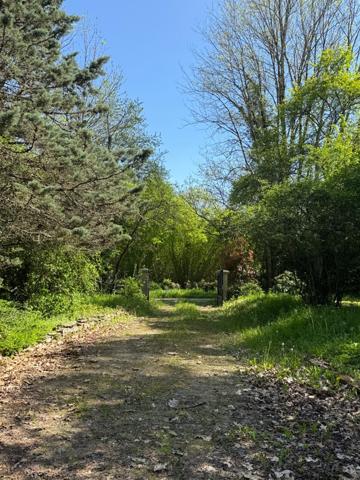 Maison en pierre de plain pied 115m², 3 chambres, dépendances sur 5400m² de terrain 189 000 €