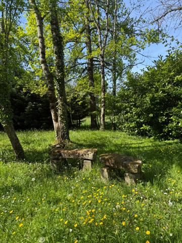 Maison en pierre de plain pied 115m², 3 chambres, dépendances sur 5400m² de terrain 189 000 €