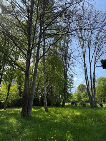 Maison en pierre de plain pied 115m², 3 chambres, dépendances sur 5400m² de terrain 189 000 €