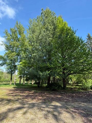 Maison en pierre de plain pied 115m², 3 chambres, dépendances sur 5400m² de terrain 189 000 €