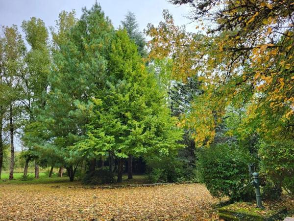 Maison en pierre de plain pied 115m², 3 chambres, dépendances sur 5400m² de terrain 189 000 €