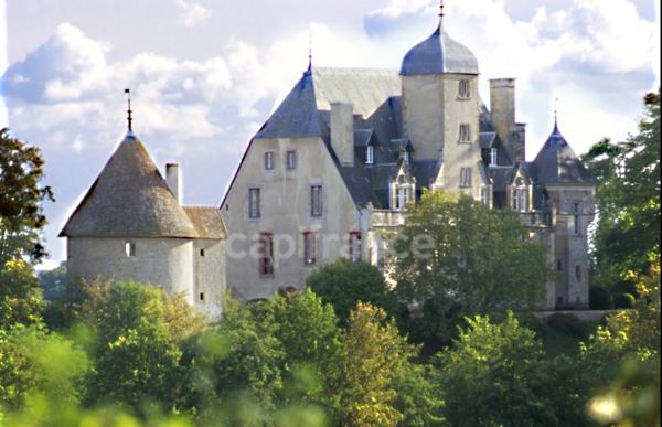 Magnifique Domaine Historique de CHATILLON-en-BAZOIS (58) 2 Châteaux 1 tour de défense plus de 40 pièces sur 5,8 HA