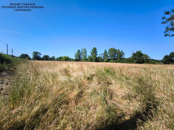 Terrain non constructible de 12 560 m² à Châtres-sur-Cher (41) En bordure du Cher