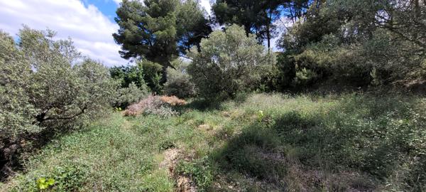 Allauch (13190) RARE: ALLAUCH TERRAIN DE 4395 M² AVEC PERMIS (purgé)