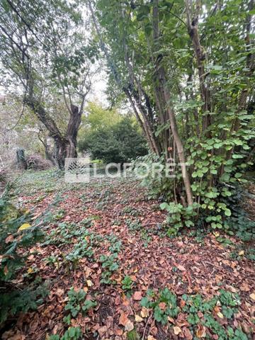 Achat maison Soisy-sur-Seine - 7 pièce(s) - 120 m² - 367 500 €