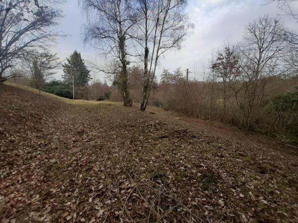 Maison à vendre |  La Châtre |  1 pièce | 23 m²