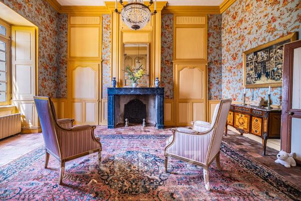 Haut Anjou - Château XVIIe classé MH avec dépendances, parc 18ha (5ha de plus en option) rivière, éc