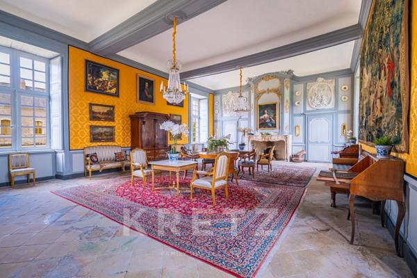 Haut Anjou - Château XVIIe classé MH avec dépendances, parc 18ha (5ha de plus en option) rivière, éc