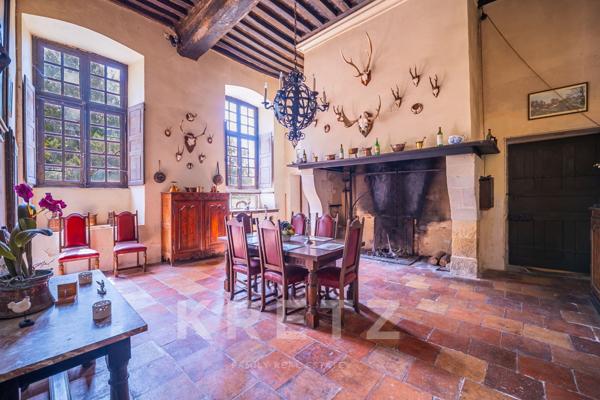 Haut Anjou - Château XVIIe classé MH avec dépendances, parc 18ha (5ha de plus en option) rivière, éc