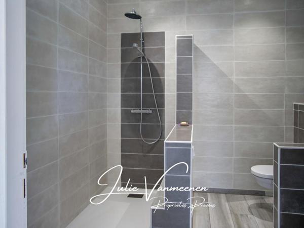 Plaisance-du-Touch 31880 - Maison de 210m2 + Appartement T2 indépendant de 40m2 - Garage de 48m2 - Jardin - Piscine - Sur une parcelle totale de 1365m2