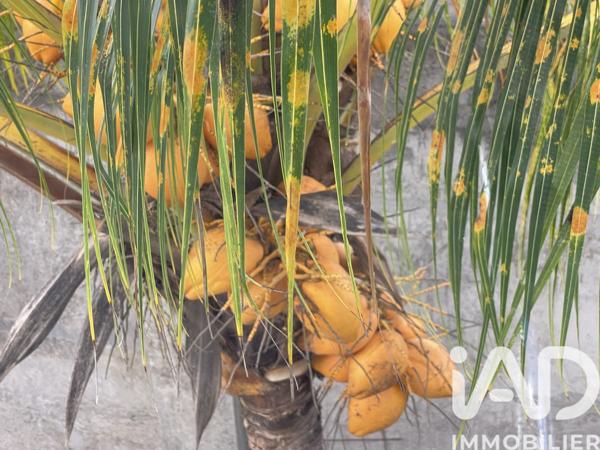 Location appartement 3 pièces 82,33 m² Morne-à-l'Eau