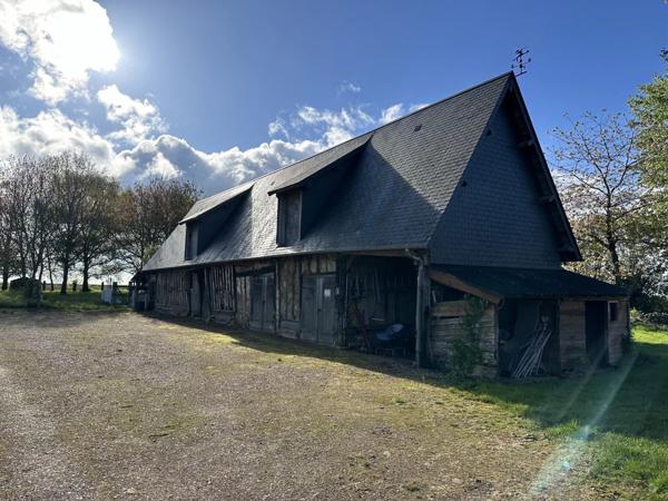 Vente Propriété 14 pièces 342 m2 à Beuzeville